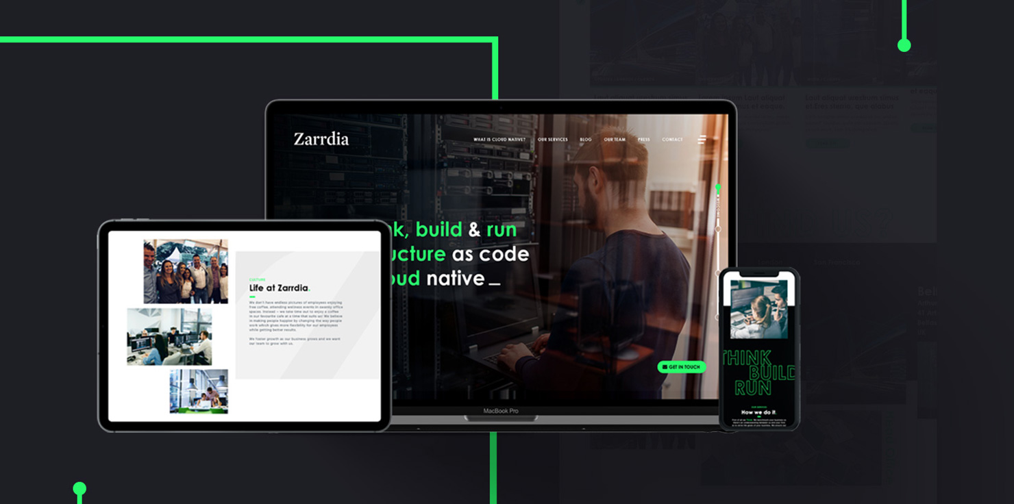 Zarrdia Website Image